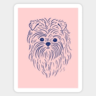 Affenpinscher (Pink and Blue) Sticker